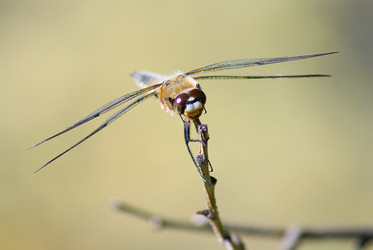 Similar image 165658