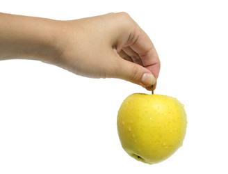 Similar image 165664