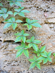 Similar image 165669