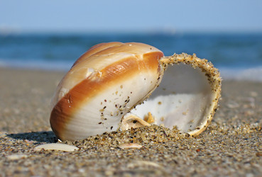 Similar image 165679