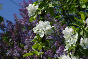 Similar image 165688