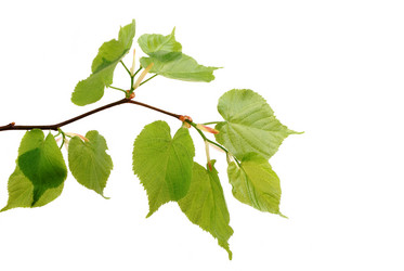 Similar image 165692