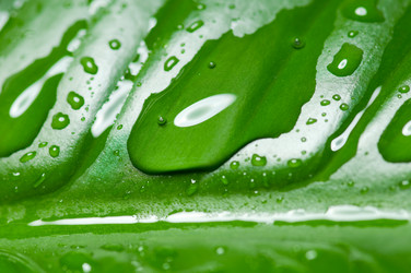 Similar image 165720