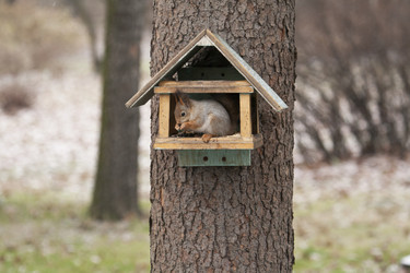 Similar image 165731