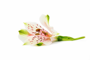 Similar image 165740