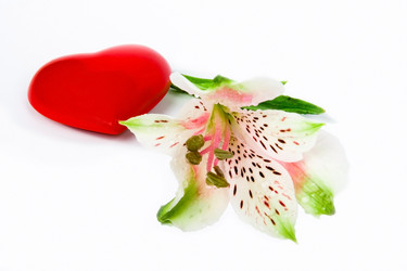 Similar image 165741