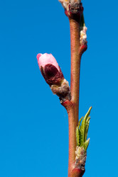 Similar image 165758