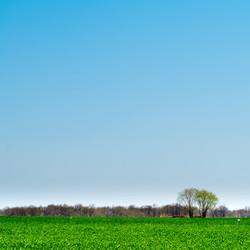 Similar image 165765