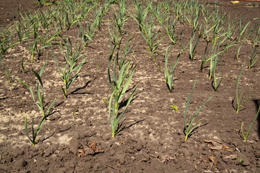 Similar image 165768