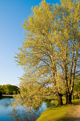 Similar image 165773