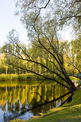 Similar image 165777