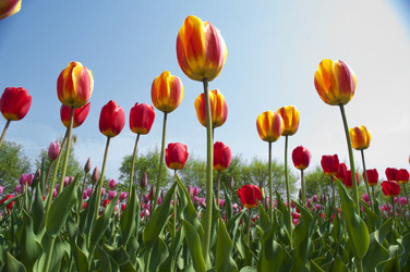 Similar image 165801