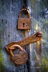 Similar image 165823