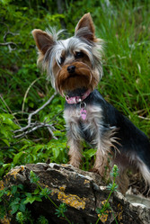 Similar image 165834