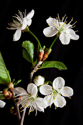 Similar image 165838