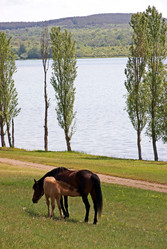 Similar image 165856