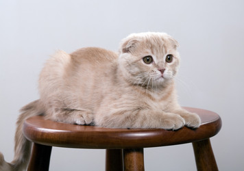 Similar image 165890