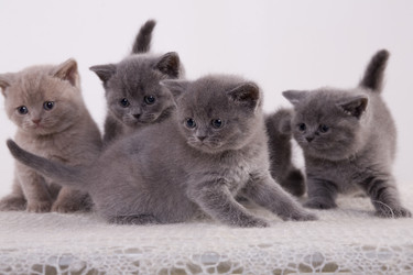 Similar image 165892