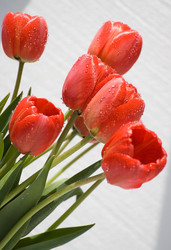 Similar image 165927