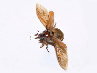 Similar image 165935