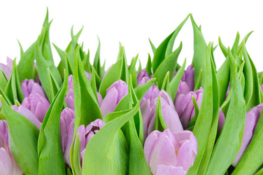 Similar image 165938