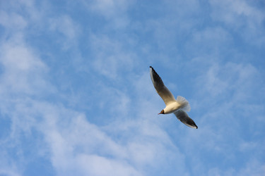 Similar image 165958