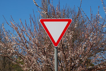 Similar image 165971