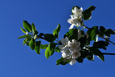 Similar image 165978