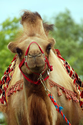 Similar image 165982