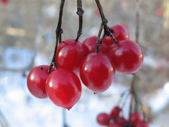 Similar image 165985