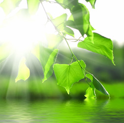 Similar image 165989