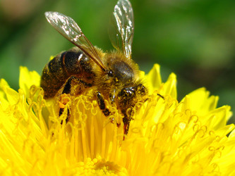 Similar image 165990