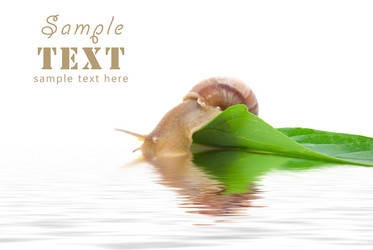 Similar image 165996