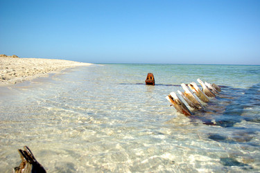 Similar image 166011