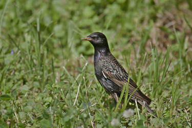 Similar image 166025