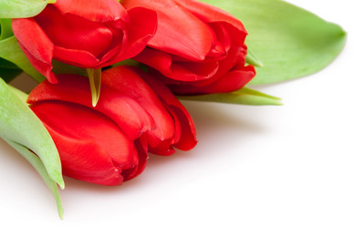 Similar image 166027