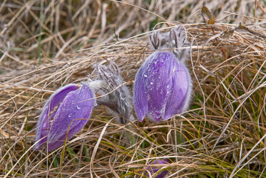 Similar image 166029