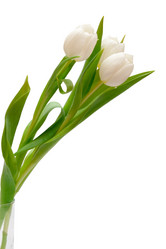 Similar image 166030