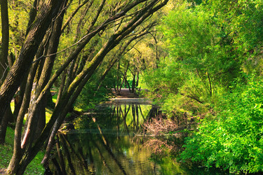 Similar image 166031