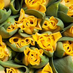 Similar image 166032