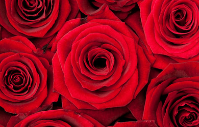 Similar image 166033