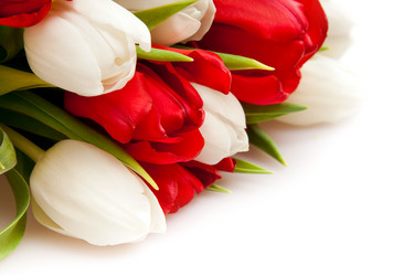 Similar image 166035