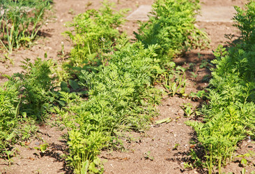 Similar image 166036