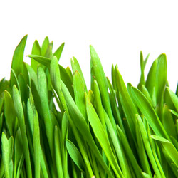 Similar image 166037