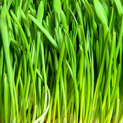 Similar image 166039