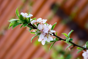 Similar image 166040