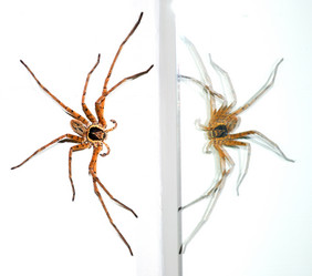 Similar image 166057