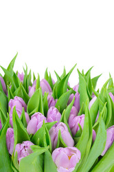 Similar image 166098