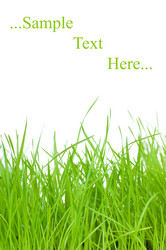 Similar image 166134