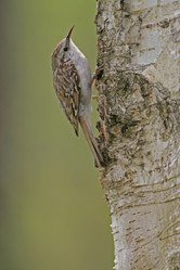 Similar image 166155